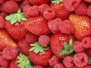 1d4a7c117ced7f7e45beec92deb9babb